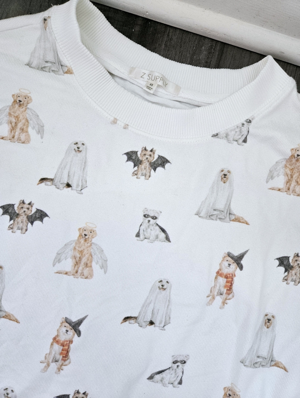 NWOT Z SUPPLY Hey Boo Dog Long Sleeve Pajama SET - Picture 5 of 7
